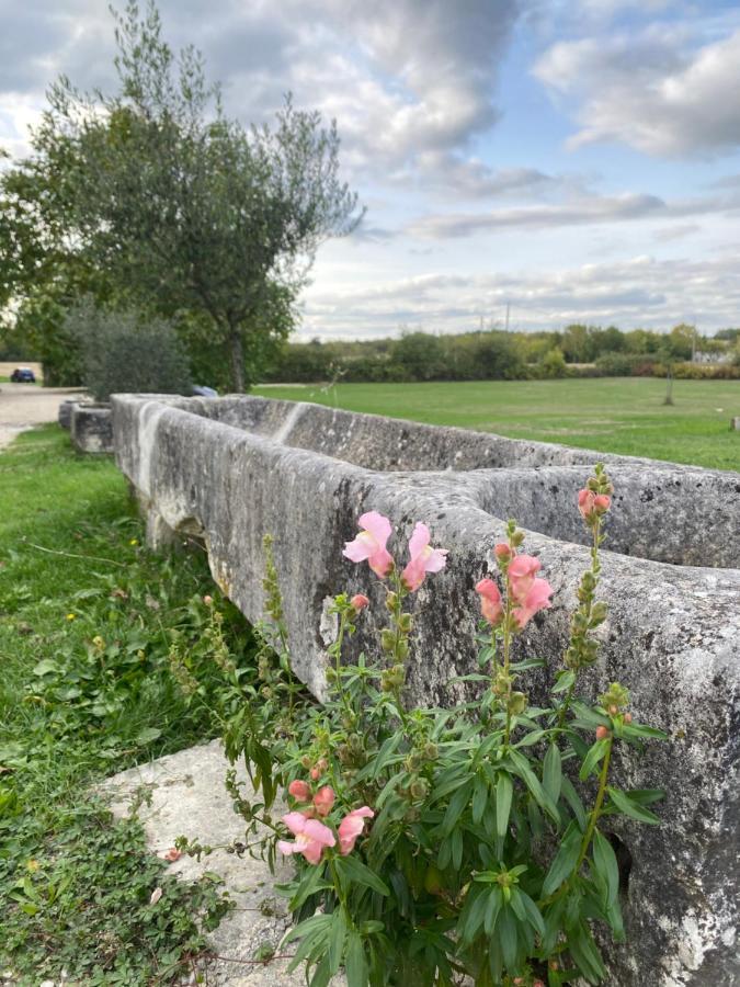 Domaine De La Laigne - Spa Apartman Asnières-la-Giraud Kültér fotó